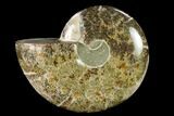 Wide Polished Fossil Ammonite Dish - Madagascar #137403-2